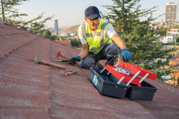 Best Historical Building Siding Restoration  in Port Barre, LA